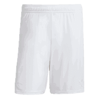 Ajax-125 years short senior
